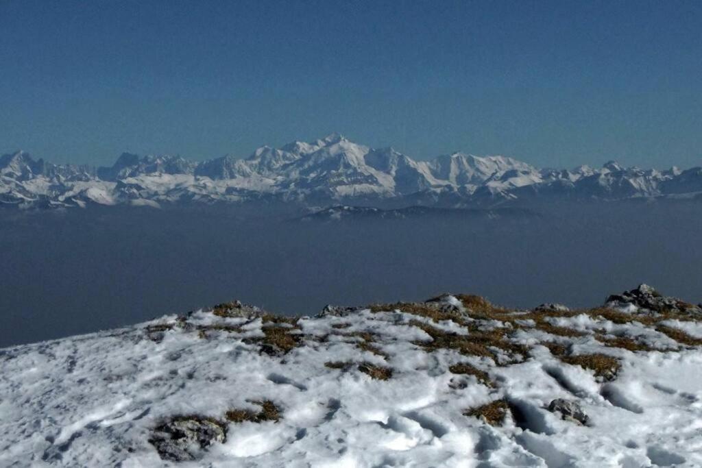 Au Coeur Du Village De Premanon Bagian luar foto